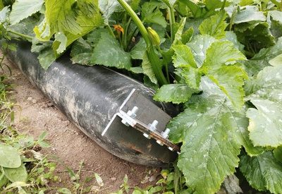 Gaine de stockage d'eau installée au sol entre les cultures